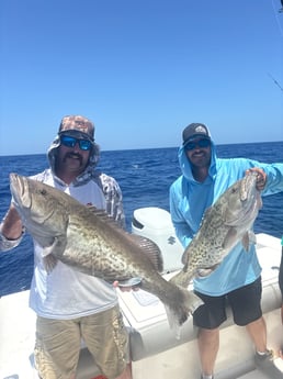 Fishing in Sarasota, Florida