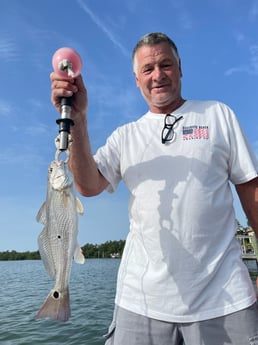 Redfish Fishing in Sarasota, Florida