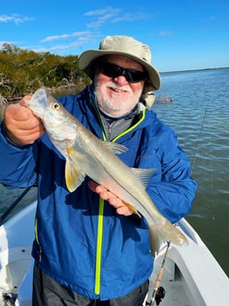 Snook Fishing in Tavernier, Florida
