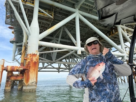 Red Snapper Fishing in