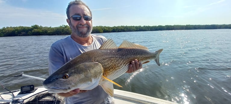 Redfish Fishing in Port Orange, Florida