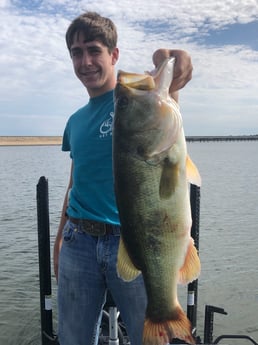 Largemouth Bass Fishing in Alba, Texas