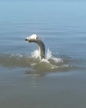 Fishing in Marco Island, Florida