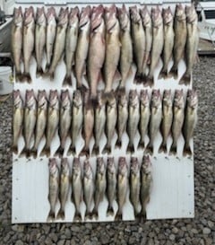 Fishing in Lakeside Marblehead, Ohio