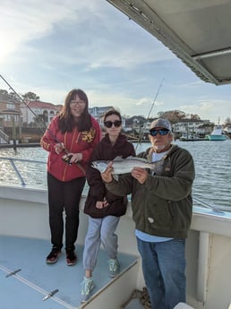 Speckled Trout / Spotted Seatrout fishing in Virginia Beach, Virginia
