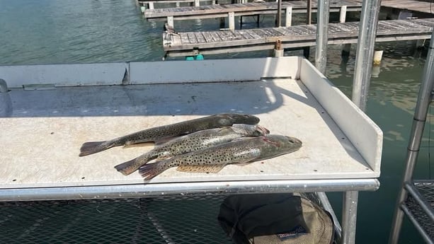 Fishing in South Padre Island, Texas