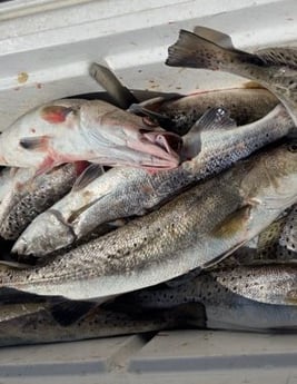 Fishing in Slidell, Louisiana