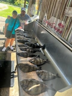 Fishing in D&#039;Iberville, Mississippi