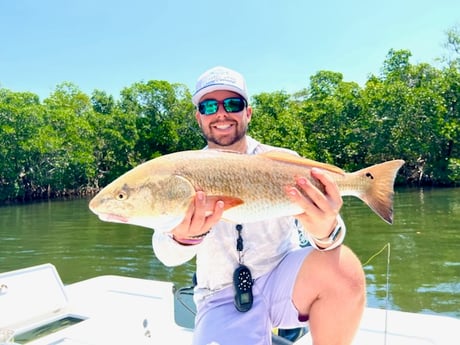 Redfish Fishing in Holmes Beach, Florida