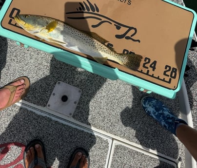 Fishing in Tampa, Florida