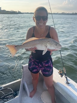 Redfish Fishing in Gulf Shores, Alabama