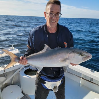 Amberjack fishing in Indian Rocks Beach, Florida