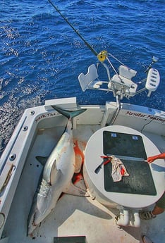 Fishing in Pompano Beach, Florida