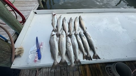 Fishing in Foley, Alabama