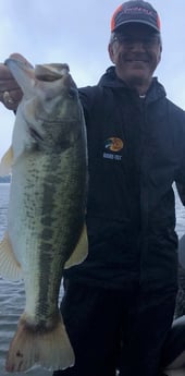 Largemouth Bass fishing in Lake Fork, Texas