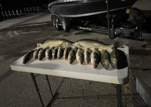 Walleye Fishing in Manistee, Michigan