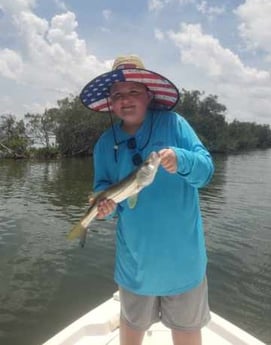 Snook Fishing in New Smyrna Beach, Florida