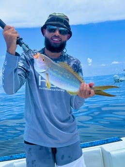 Yellowtail Snapper Fishing in Tavernier, Florida