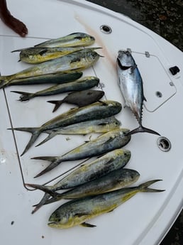 Fishing in Big Pine Key, Florida