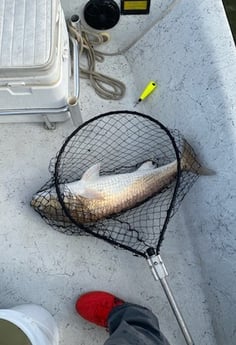 Redfish Fishing in Texas City, Texas
