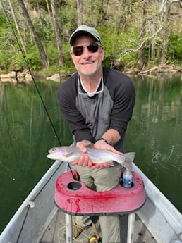 Brown Trout fishing in Leicester, North Carolina