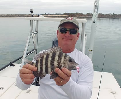 Sheepshead Fishing in St. Augustine, Florida
