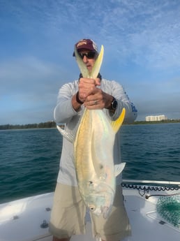 Jack Crevalle fishing in Sarasota, Florida