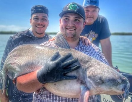 Blue Catfish Fishing in Dallas, Texas