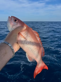 Fishing in Port Orange, Florida