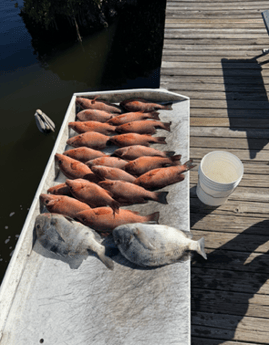 Fishing in Bokeelia, Florida