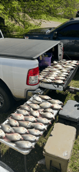 Fishing in Vernon, Alabama