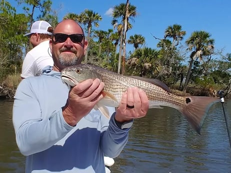 Redfish Fishing in St. Augustine, Florida