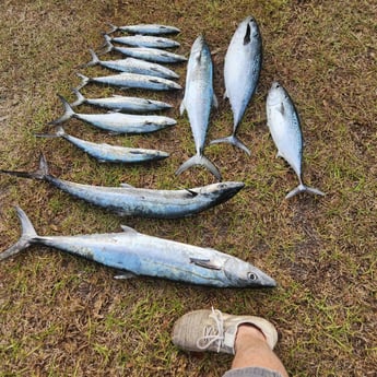 Fishing in Crestview, Florida