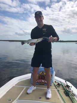 Speckled Trout / Spotted Seatrout fishing in Hudson, Florida
