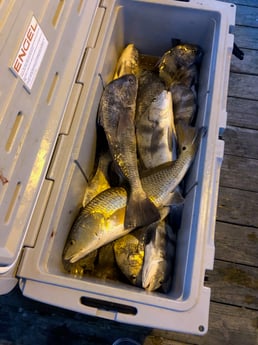 Fishing in Rockport, Texas