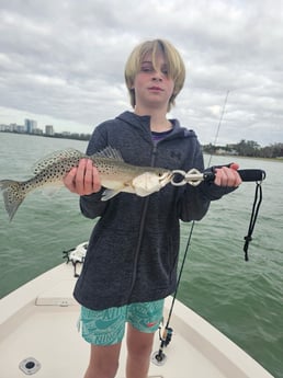 Fishing in Sarasota, Florida