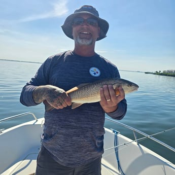 Fishing in Sarasota, Florida