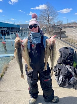 Fishing in Monroe, Michigan