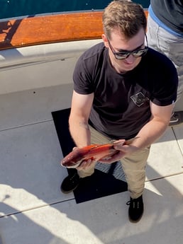 California Sheephead Fishing in Long Beach, California