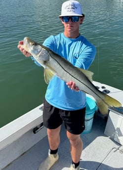 Fishing in Clearwater, Florida