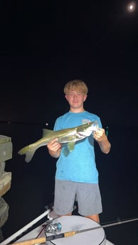 Fishing in Boca Grande, Florida