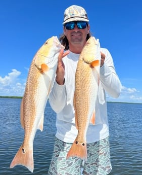 Redfish fishing in Placida, Florida