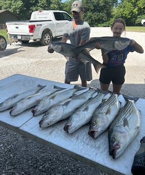Fishing in Rogers, Arkansas