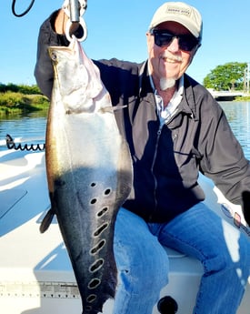Clown Knifefish Fishing in Delray Beach, Florida