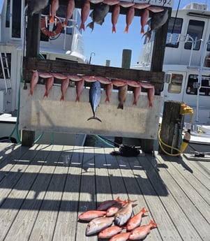 Fishing in Destin, Florida