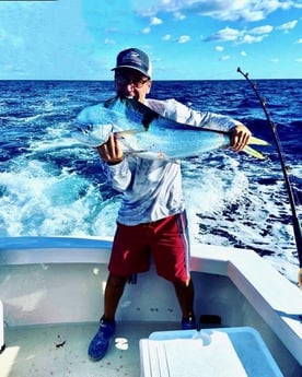 Mahi Mahi Fishing in Pompano Beach, Florida