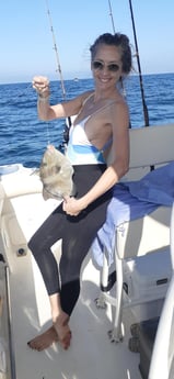 Fishing in Sarasota, Florida