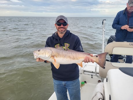 Redfish Fishing in Sulphur, Louisiana