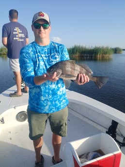 Fishing in Lafitte, Louisiana