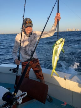 Mahi Mahi / Dorado Fishing in West Palm Beach, Florida